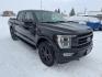 2021 Black /Black Ford F-150 XL SuperCrew 6.5-ft. Bed 4WD (1FTFW1ED6MF) with an 3.5L V6 DOHC 16V HYBRID engine, 6A transmission, located at 116 5th Avenue South, Lewistown, MT, 59457, 47.063877, -109.427879 - Upgrade to power, efficiency, and luxury with this 2021 Ford F-150 Lariat SuperCrew 4WD Hybrid. Designed for strength and innovation, this truck features a powerful yet fuel-efficient hybrid engine that delivers outstanding performance without compromising capability. The spacious SuperCrew cab prov - Photo#0